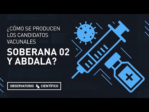 Miniatura original de ¿Cómo se producen los candidatos vacunales cubanos Soberana 02 y Abdala?